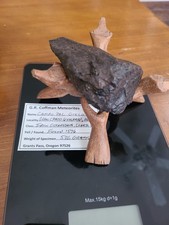 536 gram Large Campo del Cielo Iron Meteorite Specimen with Display Stand COA picture