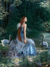 Oil painting beautiful young girl with swans in stream landscape  picture