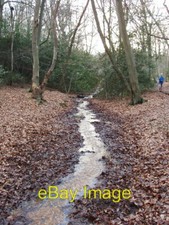 Photo 6x4 Stream in Burnham Beeches  c2006 picture
