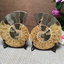 553g 1 pair of SplitStone sculptor decoration Specimen fb518 picture