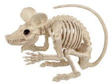 21.5 Inch Rat Skeleton Halloween Decor Realistic Spooky Prop Haunted House Decor picture