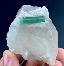 496 Carat Tourmaline Crystal With Quartz Specimen From Afghanistan picture