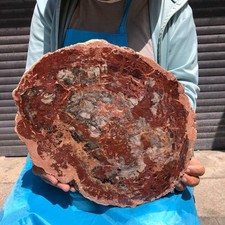 7.96LB Natural Petrified Wood Crystal Fossil Slice Shape Specimen Healing 6383 picture