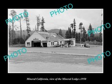 Mineral California View Of The Mineral Lodge c1950 Old Large Historic Photo picture