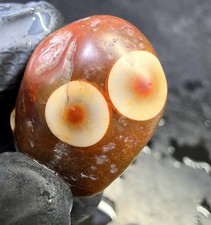 Collectors Specimen Lake Superior Orbicular Fortification Agate