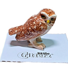 LITTLE CRITTERZ Burrowing Owl 