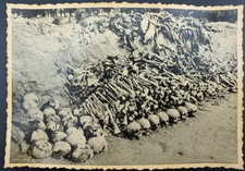 Photo Archaeological Excavations and Finds from WWII, 1943 - RARE picture