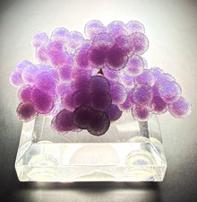 Top Quality Botryoidal Grape Agate - Indonesia (Gem Quality Specimen) picture