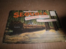 Neat Old original Sequoia National Park Foldout Postcard c. 1920's picture