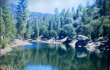 Vintage Photo Slide 1961 Lake Fulmer Idaho picture