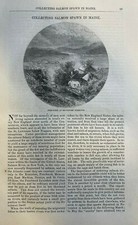 1874 Salmon Fishing Collecting Salmon Spawn in Maine illustrated picture