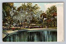 Tampa FL-Florida, Sulphur Springs, Antique, Vintage Souvenir Postcard picture