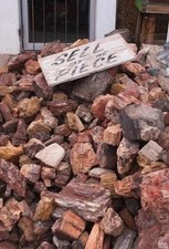 5 Lbs - Arizona Petrified Forrest⛏️: Top Quality Rainbow & Reg Mix Lot, 5 Lb picture