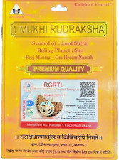 ONE MUKHI RUDRAKSHA 1 MUKHI RUDRAKSHA PENDENT IN PURE SILVER CAP LAB CERTIFIED picture