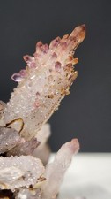 Cholla Veracruz Amethyst Crystal Cluster Cholla de Vera Cruz Crystals #E10710 picture