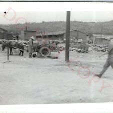 c1953 Korean War US Base South Korea Real Photo Donkey Horse Haul Vtg C6 picture