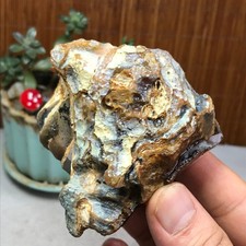 Natural Bonsai Suiseki Gobi Agate Eyes Stone-Stunning original View 222g A7331 picture