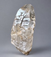“Rebirth” Ganesh Himalayan Nirvana Etched Dissolution Record Quartz Crystal picture