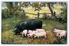 1907 Black and Pink Pigs in Clover Simple Life Oilette Tuck Art Postcard picture