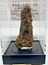 Parisite-CE (6.5 CM 332 cts) Largest