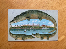 RARE ALLIGATOR BORDER Langsdorf S 571 Tampa Bay Hotel Tampa FL. OLD ONE STAMP picture