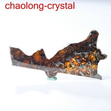 38.5Ct Brenham pallasite meteorite slice OLIVE METEORITE/USA DG1218 picture