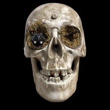 VTG Gemmy Animated Talking Skull Snake Eye Pop Out Halloween Prop Animatronic picture
