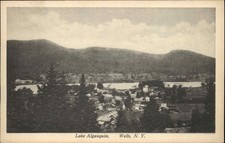 Wells New York NY Lake Algonquin Bird's Eye View c1920s-30s Postcard picture