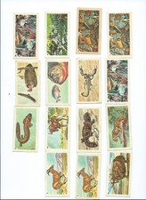 1960's -- NABISCO -- 15 cards picture