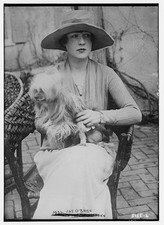 Mrs. Jay O'Brien,wives,spouses,dogs,pets,women,hats,dresses,Bain News Service picture