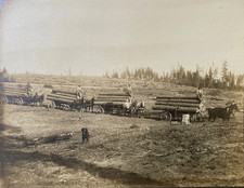 Antique 1880s Alta CA. Photo California Lumberjacks Logging Wagon Train Named picture