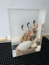 Acrylic Preserved Sea Life Paper Weight Decor | 4.25” x 6” x 2.5” inch picture