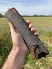 Very Nice Large EXTINCT “MYSTICETI” Rib Bone Fossil picture