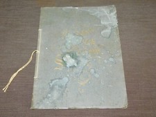 VINTAGE 1902 FREEMASONS MASONS MASONIC FAIR ROCHESTER NY SOUVENIR BOOKLET picture