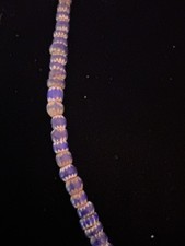 Antique 19th Century Venetian Trade Bead Necklace Collector’s Piece picture