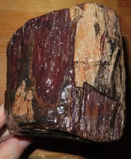 petrified wood Klickitat County WA near Goldendale sealed rare burn marks knot picture
