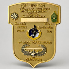 101st Airborne Division STB Gladiators Awarded for Excellence Challenge Coin picture