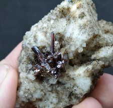 Rutile cluster on matrix picture