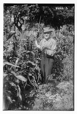 Photo:Billy Murray in Cornfield Photograph ca. 1915-1920 picture