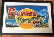 Cannabis 1982 Print by Pat Ryan & Dave Sheridan. California Homegrowers Asso picture