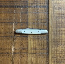 Vintage W.H. Morley & Sons Pocket Knife Early 1900’s Oxidation & Rust Present picture