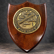Rare Vintage FCTCLANT Dam Neck Navy Plaque R Pette Co Fleet Combat Training 9” picture