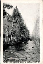 Vintage Postcard- Scene Along Dingman’s Brook, Dingman’s Ferry, Pennsylvania picture