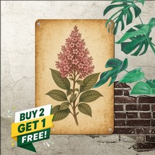 vintage botanical flower illustration pink blossom cluster single picture