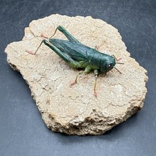 Vintage 1999 Mexican Folk Art Chapulín Grasshopper Sculpture Figurine picture