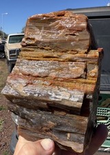 ☘️RR⛏️: Top Quality Agate/Druzy Arizona Petrified Wood, 3.75 Lb 🌈 picture