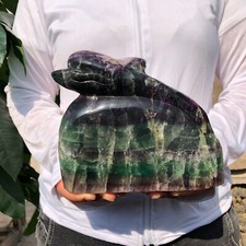 4.1 LB Natural Fluorite Quartz Crystal Dolphin Hand Carved picture