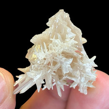 Snowflake Cerussite Twin Crystal Cluster on Galena Matrix Mineral Display Specim picture