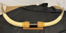 Vintage ANTIQUE MOUNTED STEER BULL HORNS 28 Inches Long picture