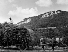 Germany Baden Wuerttemberg Swabian Mountains A farmer on a hay - 1958 Photo picture